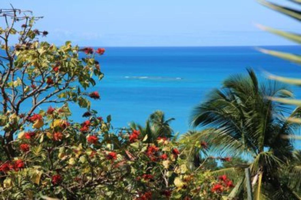 Attractive 2-Bed Apartment Stunning Sea View Dickenson Bay 外观 照片