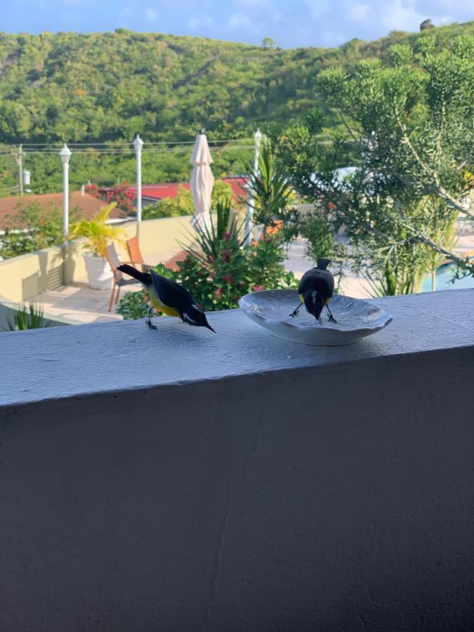 Attractive 2-Bed Apartment Stunning Sea View Dickenson Bay 外观 照片